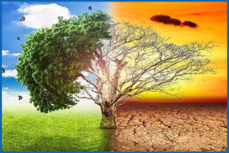 कार्बन उत्सर्जन घटाएबापत नेपालले पायो १ अर्ब १९ करोड